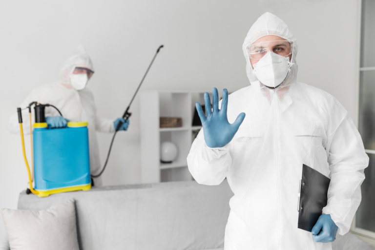 Animal Control in Toronto