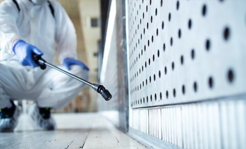 Cottage-Country-Pest-Control