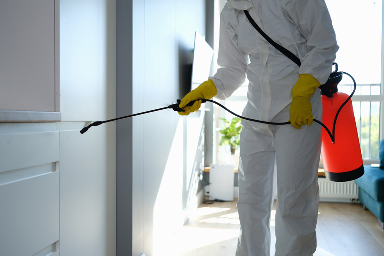 How to Control Centipedes in Toronto