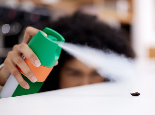 How to Get Rid of Unwanted Flies