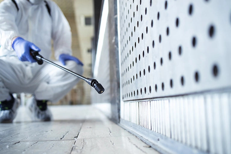 Flea Extermination Services
