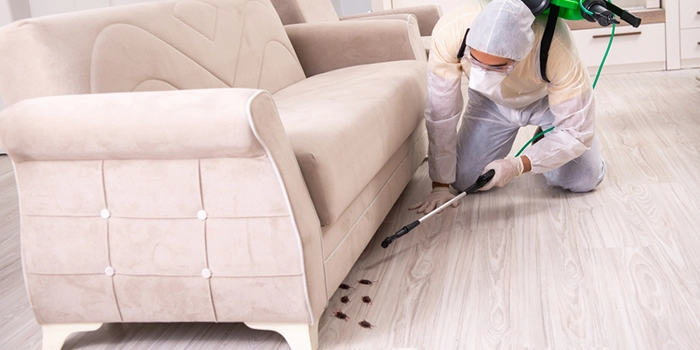 Effective Cockroach Extermination in Toronto